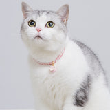 Collar Candy Plaid Adjustable Collar - Cat, Small Dog